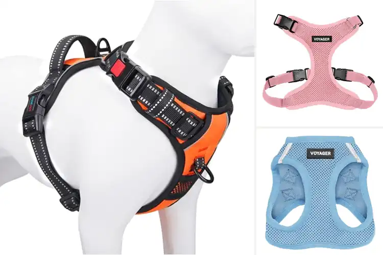 Detailed view of Best Adjustable Dog Harnesses: Find the Perfect Fit
