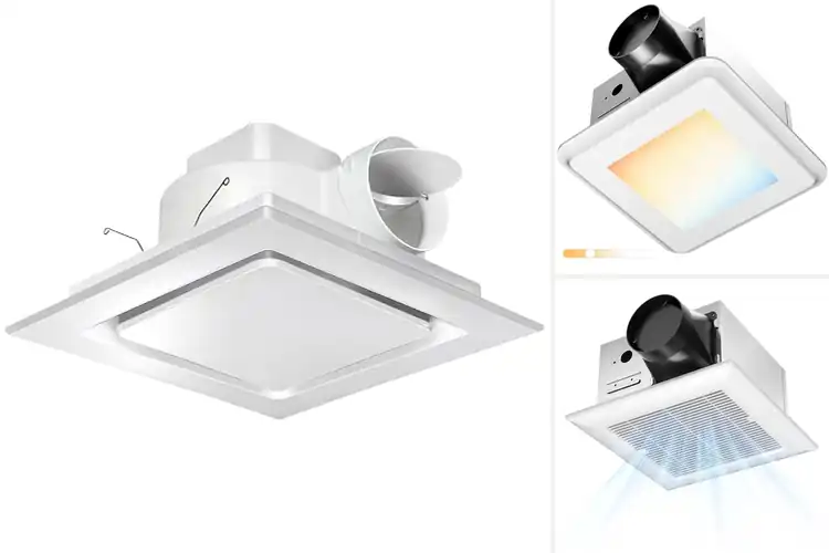 Detailed view of Best Bathroom Fans