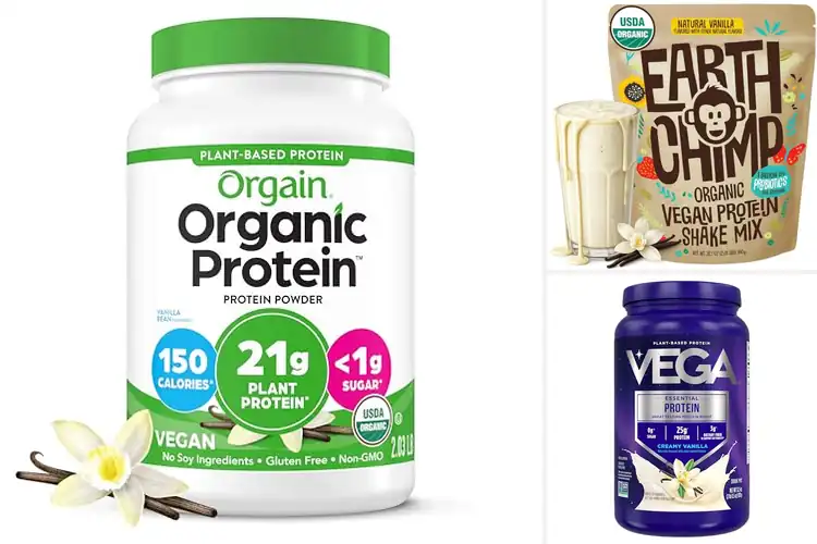 Detailed view of Best Dairy-Free Vegan Protein Powder