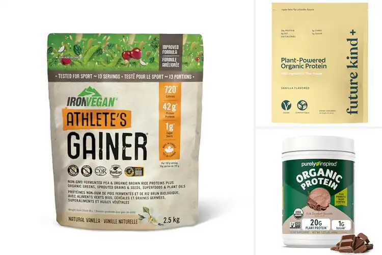 Detailed view of Best Iron-Rich Vegan Proteins