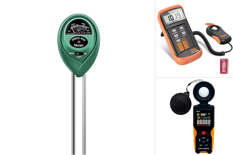 Detailed view of Best Light Meters For Plant Growth