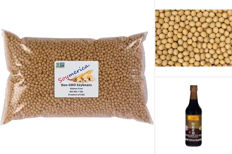 Detailed view of Best Non GMO Soy Products: Top-Rated Tofu & Soy Milk