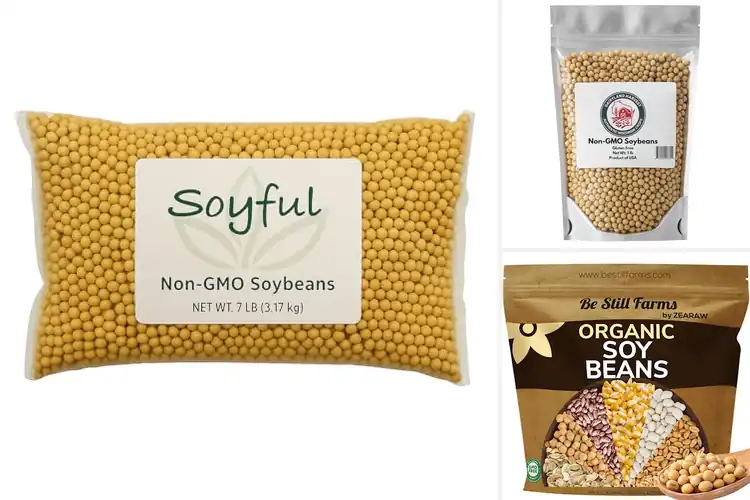 Detailed view of Best Non-GMO Soybean Proteins