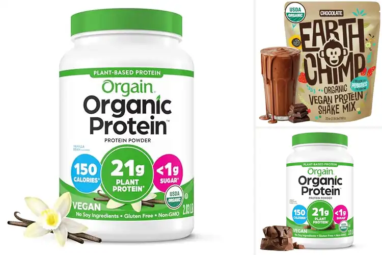 Detailed view of Best Non-GMO Vegan Protein: 10 Safe, Tasty & Healthy Options