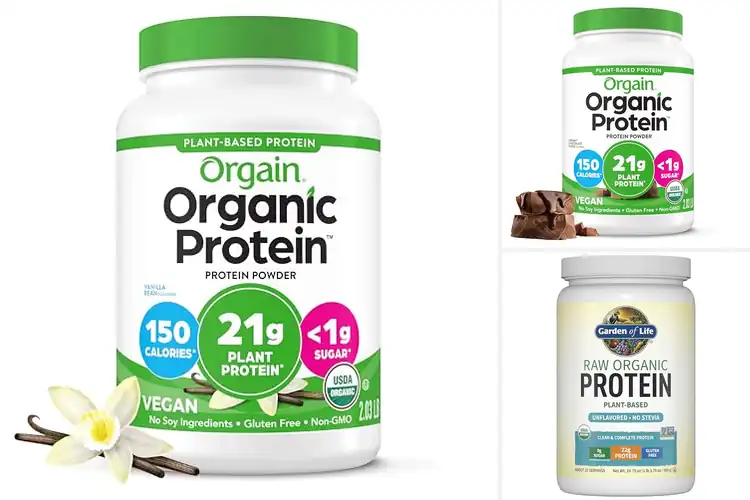 Detailed view of Best Non-GMO Vegan Proteins for Energy & Muscle Boost