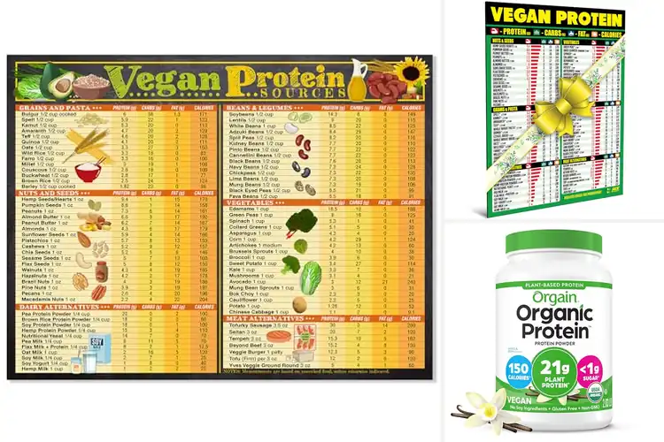 Detailed view of Best Plant Based Protein Source