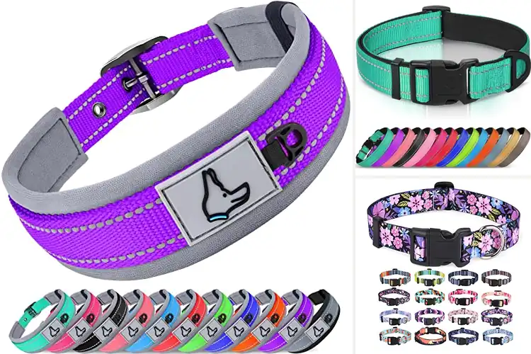 Detailed view of Best Soft Dog Collars: Top 10 Picks for Comfort & Safety