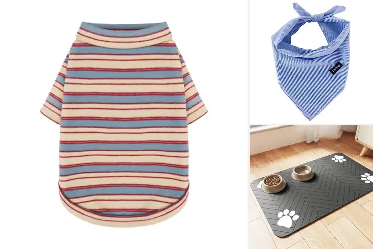 Detailed view of Best Striped Dog Accessories