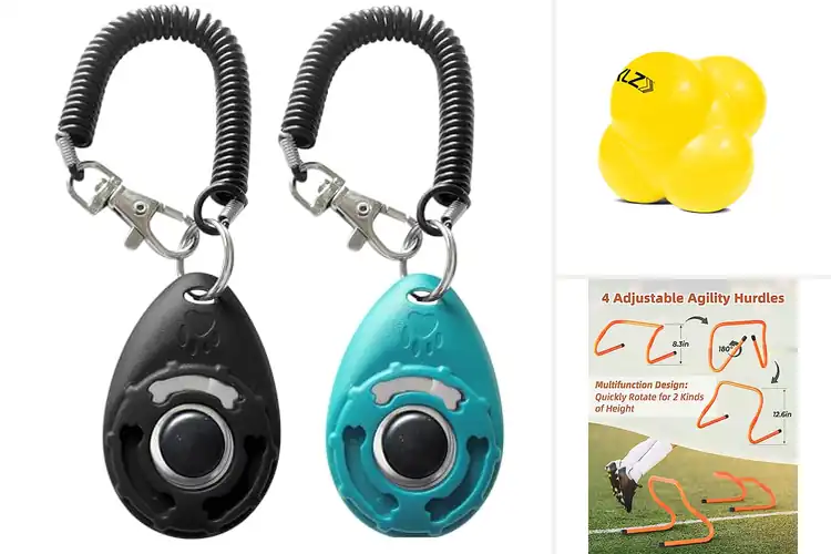Detailed view of Best Training Aids